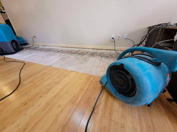Professional Structural Drying technician working in Roxbury, MA
